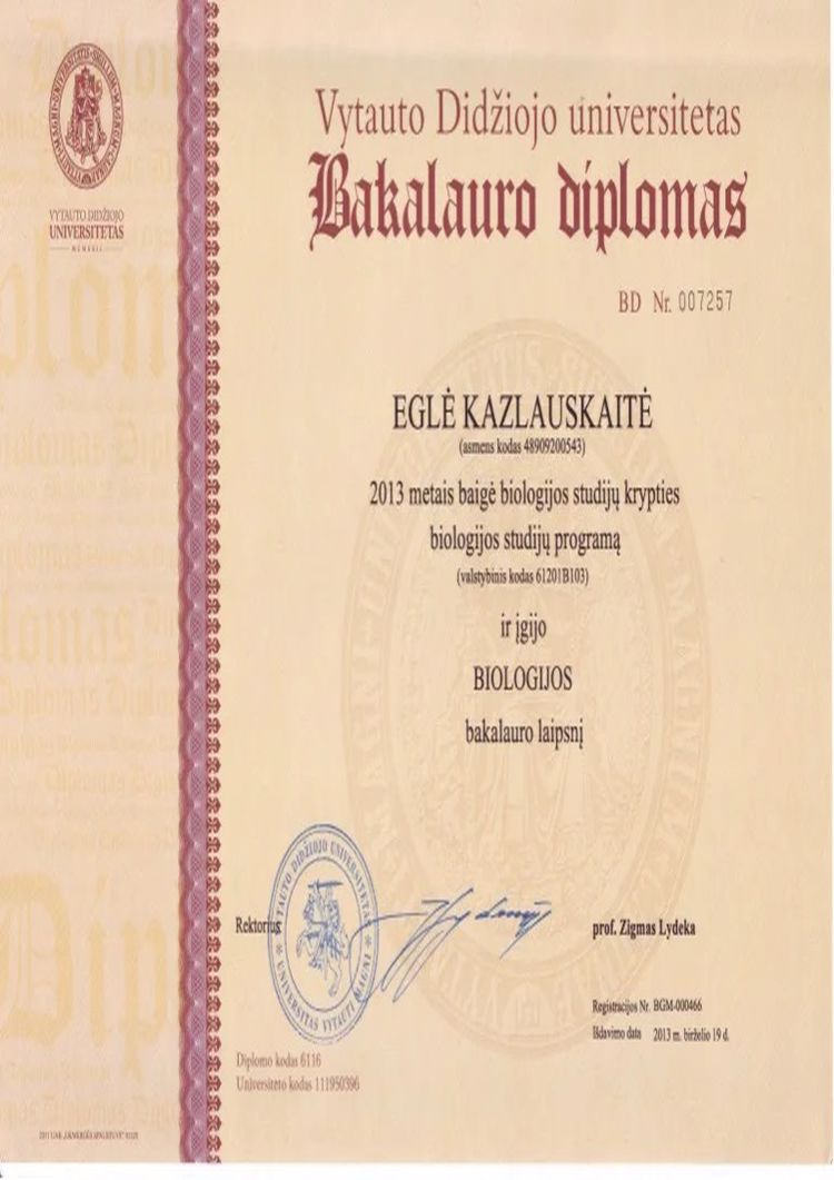 Lithuania College Degree - Diploma - Image 4