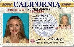 Replacement Driving Licence